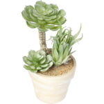 Sukulent w ozdobnej doniczce imitującej cegłę, 15,5 cm - obrazek 2