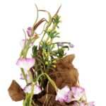 DEKORACJA WIOSENNA KOMPOZYCJA KWIATOWA RÓŻOWA - obrazek 2