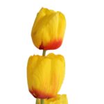 Gałązka 3 TULIPANÓW 80 CM ŻÓŁTA - obrazek 2
