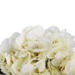 Bukiet 6 hortensji w kolorze białym 32 cm - obrazek 2