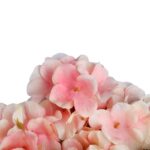 Bukiet 6 hortensji w kolorze jasno różowym 32 cm - obrazek 2