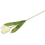 TULIPAN STRZĘPIASTY 54 CM BIAŁY - obrazek 3