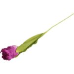 TULIPAN STRZĘPIASTY 54 CM FIOLETOWY - obrazek 3