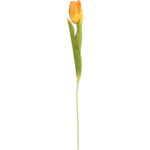 TULIPAN STRZĘPIASTY 54 CM POMARAŃCZOWY