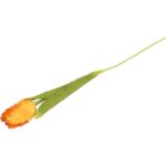 TULIPAN STRZĘPIASTY 54 CM POMARAŃCZOWY - obrazek 3