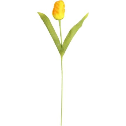 TULIPAN STRZĘPIASTY 54 CM ŻÓŁTY