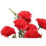 Bukiet 7 goździków w kolorze czerwonym - obrazek 2