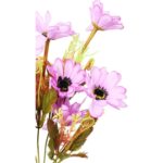 Bukiecik 12 margaretek w kolorze wrzosowym z dodatkami - obrazek 2