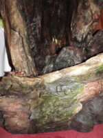 Wodospad wielki - obrazek 2