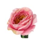 Róża pojedynczy kwiat w kolorze ciemno różowym - obrazek 3