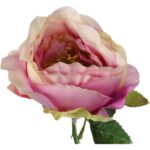 Róża pojedynczy kwiat w kolorze jasno fioletowym - obrazek 3