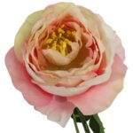 Róża pojedynczy kwiat w kolorze jasno różowym - obrazek 3