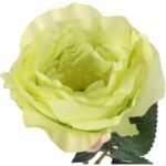 Róża pojedynczy kwiat w kolorze zielonym - obrazek 3