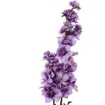 Sztuczna Gałązka Ostróżki Fioletowej w Odcieniach Jesieni - 110 cm - obrazek 2