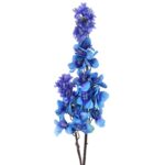 Niebieska Ostróżka o Długości 110 cm - obrazek 2