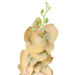 Gałązka Sztucznego Storczyka Koloru Kremowego 84cm - obrazek 3