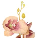 Gałązka storczyka w kolorze łososiowym - obrazek 3