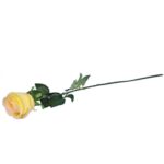 RÓŻA 72 cm KOLOR ŻÓŁTY - obrazek 3