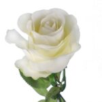RÓŻA 72 cm KOLOR BIAŁY - obrazek 2