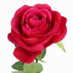 RÓŻA 72 cm KOLOR CIEMNO RÓŻOWY - obrazek 2