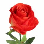RÓŻA 72 cm KOLOR CZERWONY - obrazek 2