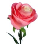 RÓŻA 72 cm KOLOR JASNO RÓŻOWY - obrazek 2