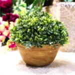 Sztuczny Bukszpan w Ceramicznej Doniczce 20cm - Zielony - obrazek 3