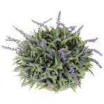 Lawenda w Postarzanej Glinianej Donicy 35 cm - Dekoracja w Stylu Prowansji - obrazek 2