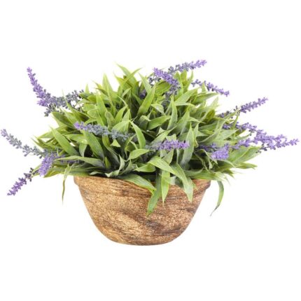 Lawenda w Glinianej Donicy 25 cm - Zielona Dekoracja Wnętrz