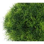 Trawa-kula w białej donicy 25 cm - obrazek 3