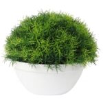 Trawa-kula w białej donicy 25 cm