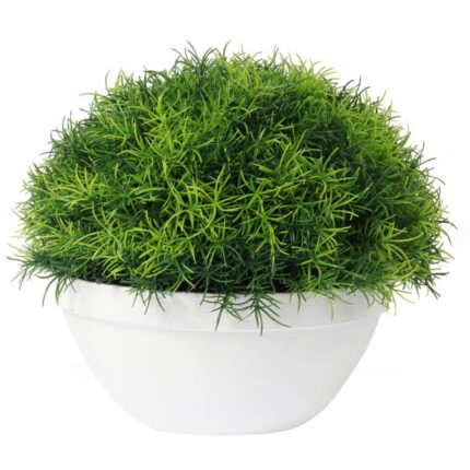 Trawa-kula w białej donicy 25 cm