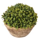 Bukszpanowa kula III w donicy 20 cm - obrazek 2