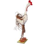 Kogut Sizalowy - Figurka Dekoracyjna 38 cm