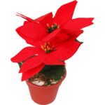 Czerwona Sztuczna Poinsecja w Doniczce - obrazek 2