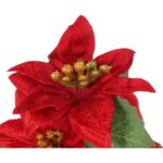 Bukiet WELUROWYCH POINSECJI w doniczce 20 cm KOLOR CZERWONY - obrazek 2