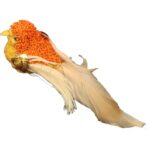 PTASZEK NA KLAMERCE ZŁOTO POMARAŃCZOWY - obrazek 2