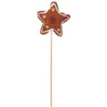 Pik GWIAZDA PIERNIKOWA filcowa w kolorze brązowym