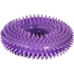 Fioletowy Gryzak Piszczący dla Zwierząt z Bezpiecznego Tworzywa - obrazek 2