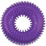 Fioletowy Gryzak Piszczący dla Zwierząt z Bezpiecznego Tworzywa