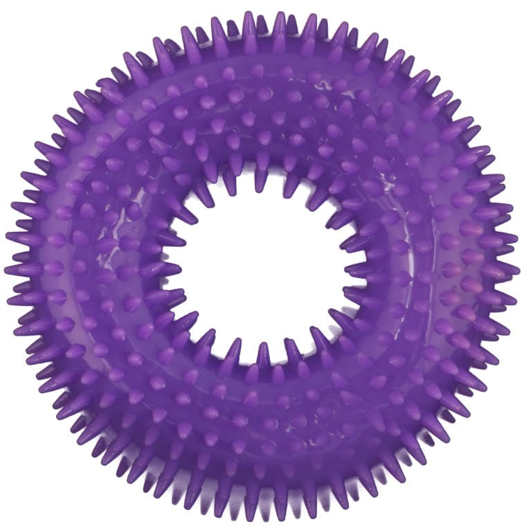 gum39fioletowy Fioletowy Gryzak Piszczący dla Zwierząt z Bezpiecznego Tworzywa - obrazek 1