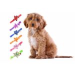 Obroża dla zwierząt domowych Urok Zielonego Kwiatu z bezpiecznym dzwoneczkiem - obrazek 3