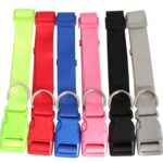 Wytrzymała Obroża dla Zwierząt w Kolorze Czarnym z Regulowaną Długością - obrazek 3