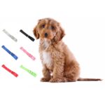 Wytrzymała Obroża dla Zwierząt w Kolorze Zielonym z Regulowaną Długością - obrazek 3