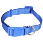 Obroża niebieska - obrazek 2