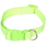 Wytrzymała Obroża dla Zwierząt w Kolorze Zielonym z Regulowaną Długością - obrazek 2