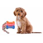 Pomarańczowy gryzak w kształcie kości z piszczkiem i sznurkiem dla psów - obrazek 3