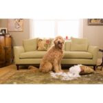 Gryzak piszczący zielony ze sznurkiem - obrazek 3