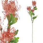 PROTEA gałązka 3 kwiatów dodatek kolor brązowy