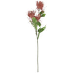 PROTEA gałązka 3 kwiatów dodatek kolor brązowy - obrazek 2